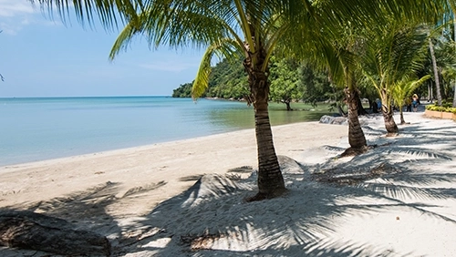 Private sandy beach with palm trees at Peninsula Beach Resort Koh Chang